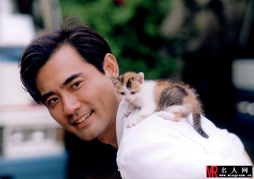 赵文瑄与猫的幸福生活(1)