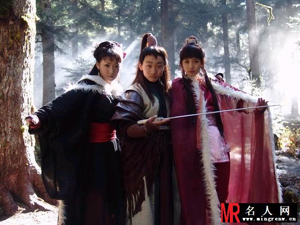 神雕侠侣2006版郭襄剧照(1)