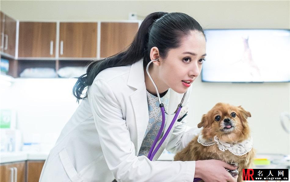 《神犬小七》郭碧婷剧照 堪称完美女神(1)