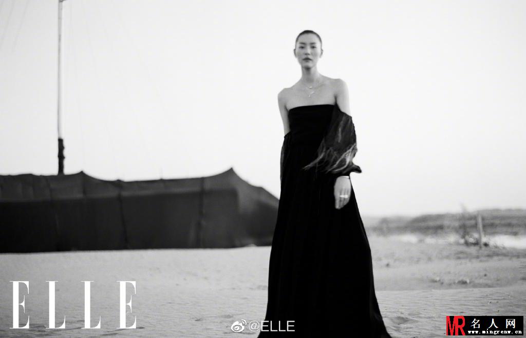 刘雯ELLE封面大片 气质清冷令人过目难忘(1)