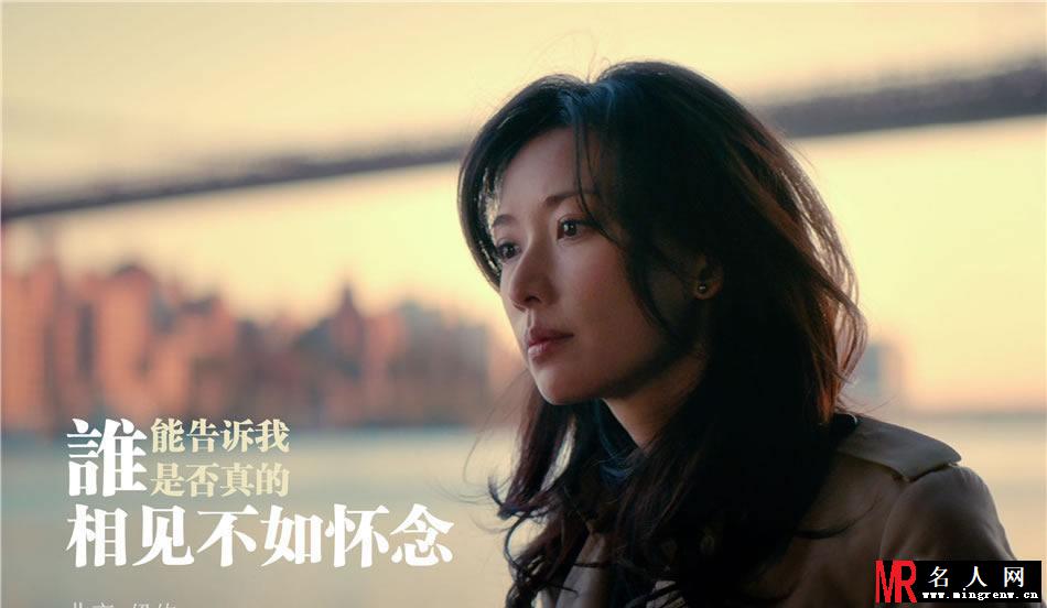 电影北京纽约精彩剧照 林志玲刘烨上演异国情缘(1)
