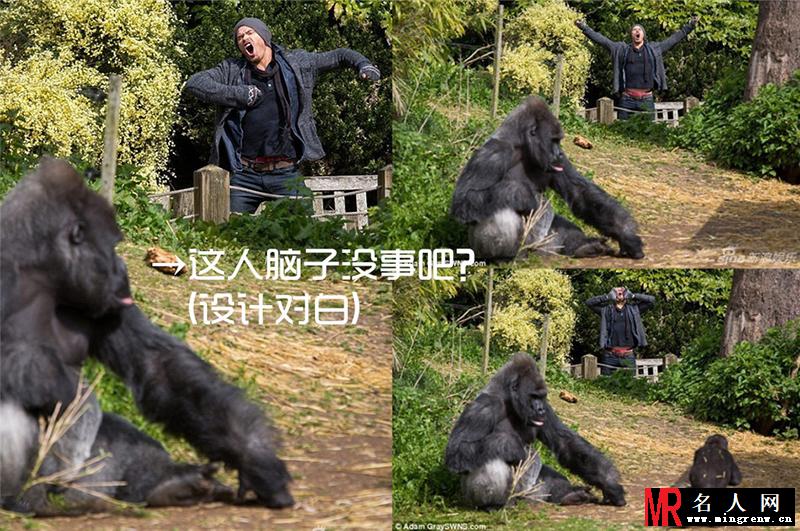 明星网巨献:一周恶搞图冯小刚不雅举止遭偷拍(1)