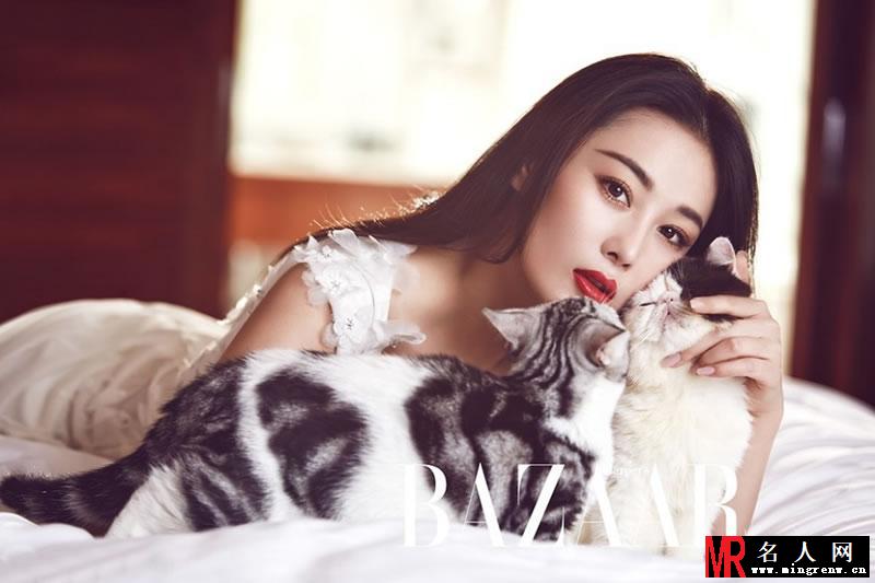 张馨予登时尚杂志 与小猫玩耍尽显清新甜美(1)
