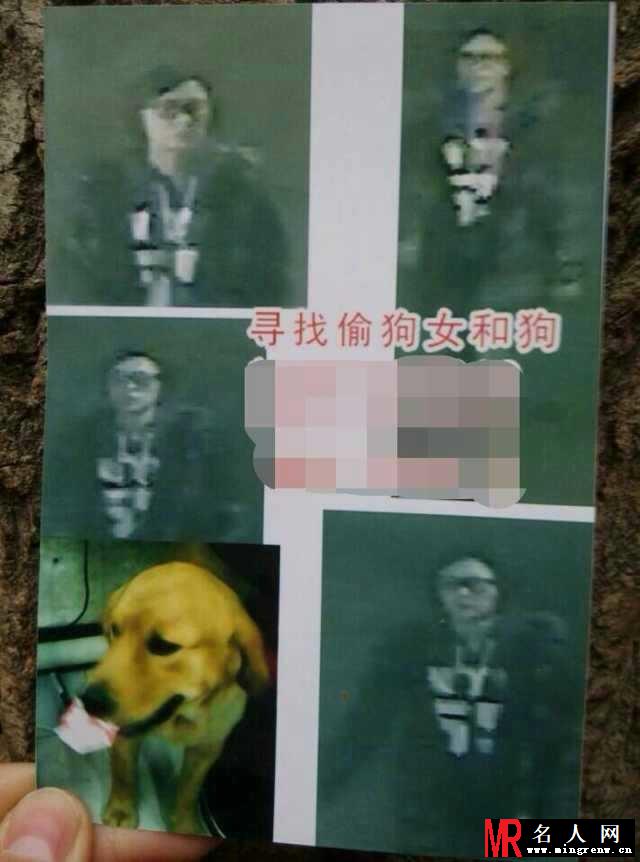 陈学冬黑料一锅端 偷狗整容傍小四(1)
