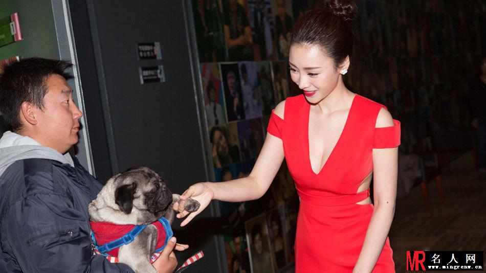 柳岩性感红裙秀酥胸 怀抱八哥犬显亲昵(1)