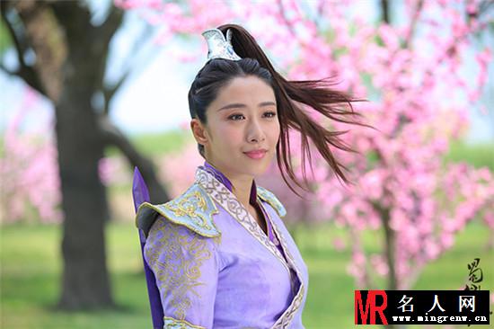 蜀山战纪之剑侠传奇诸葛紫英剧照(1)