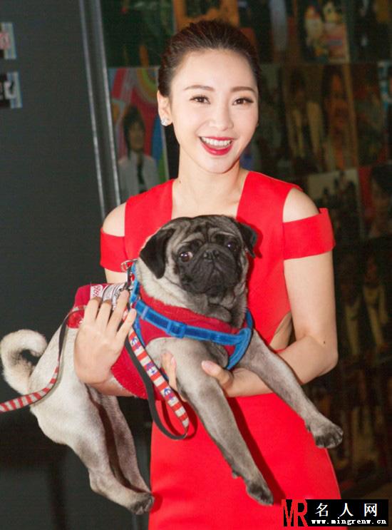 柳岩性感红裙秀酥胸 怀抱八哥犬显亲昵(1)