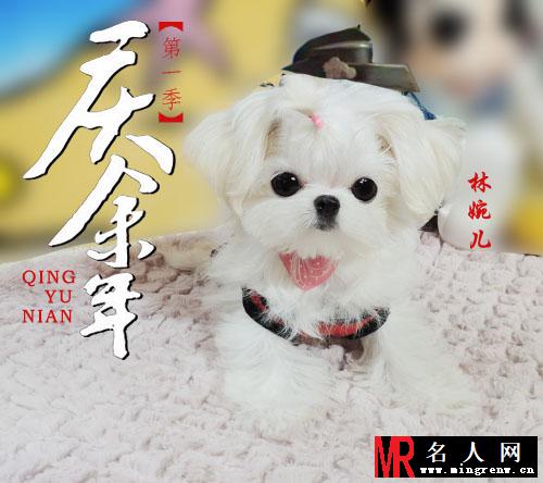 《庆余年》动物版海报合集 你们觉得哪个最像？(1)