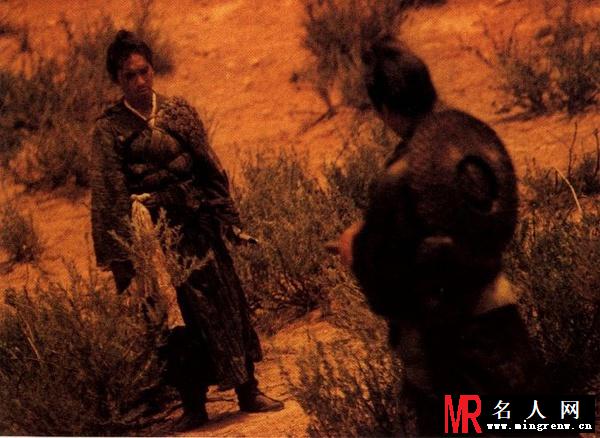 东邪西毒盲武士剧照(1)