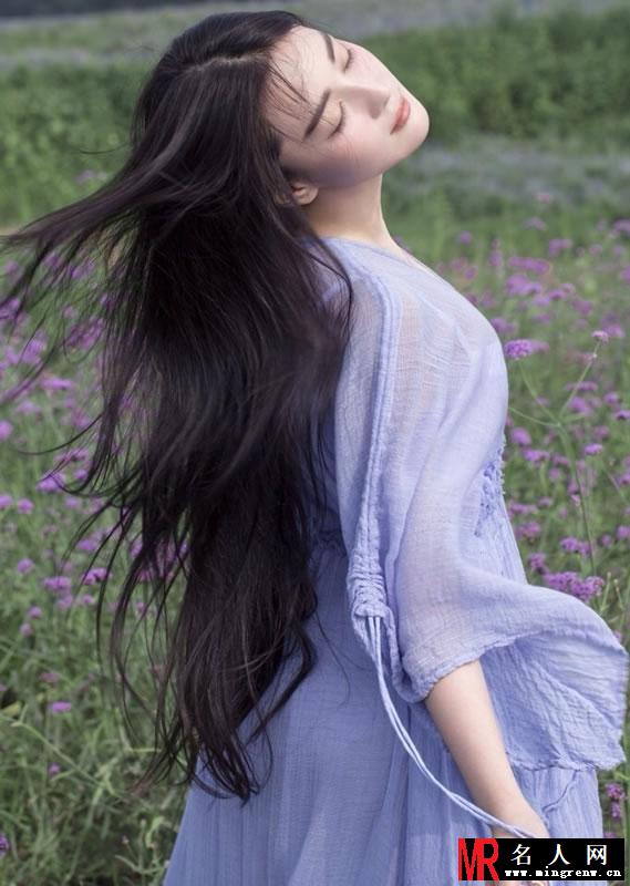 张馨予薰衣草田写真 清新高雅似花仙子(1)