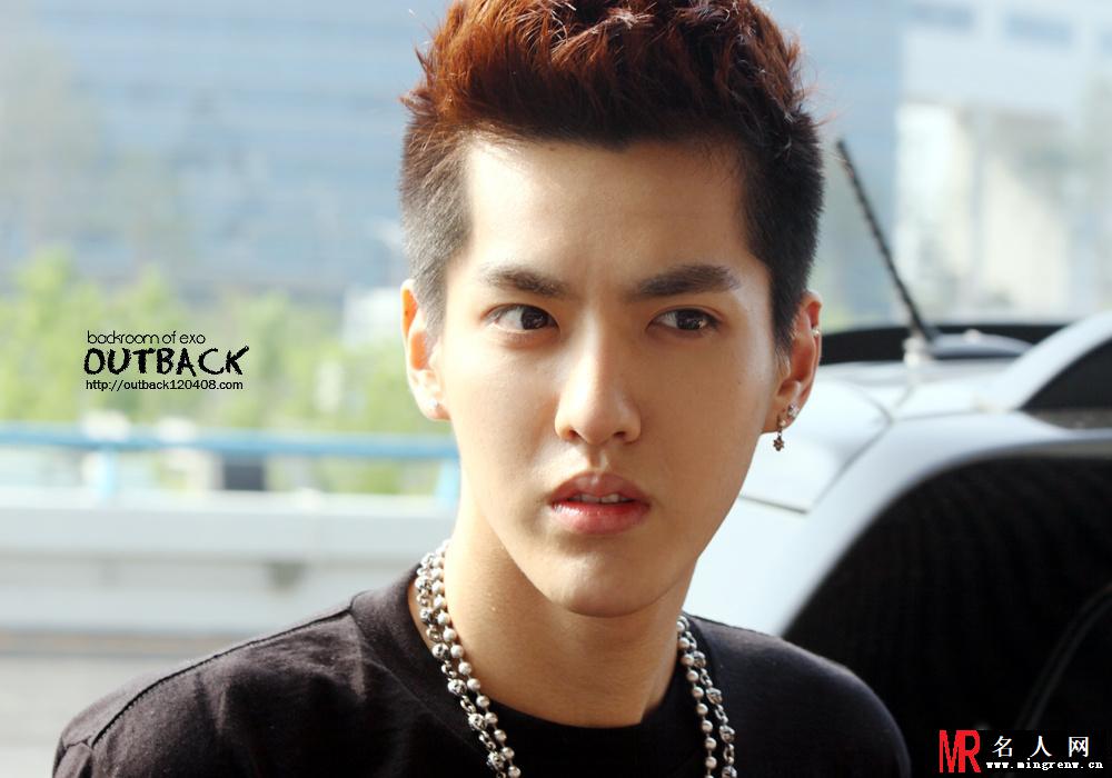 2013年6月EXO韩国金浦飞往北京机场写真吴亦凡图片(1)