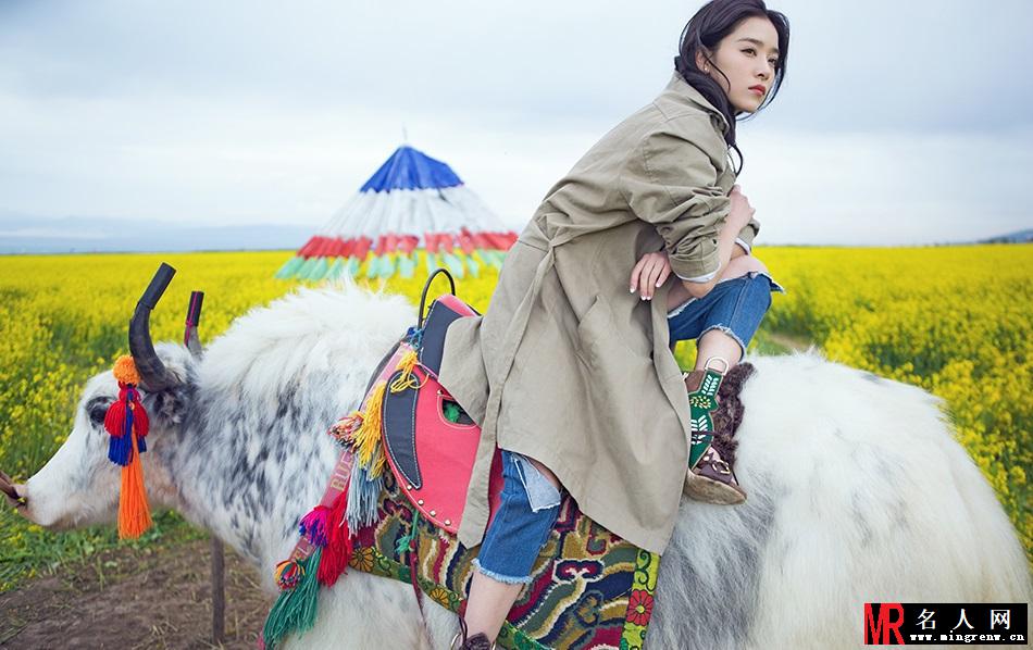 阚清子高原花海写真 色调清新缤纷如画(1)