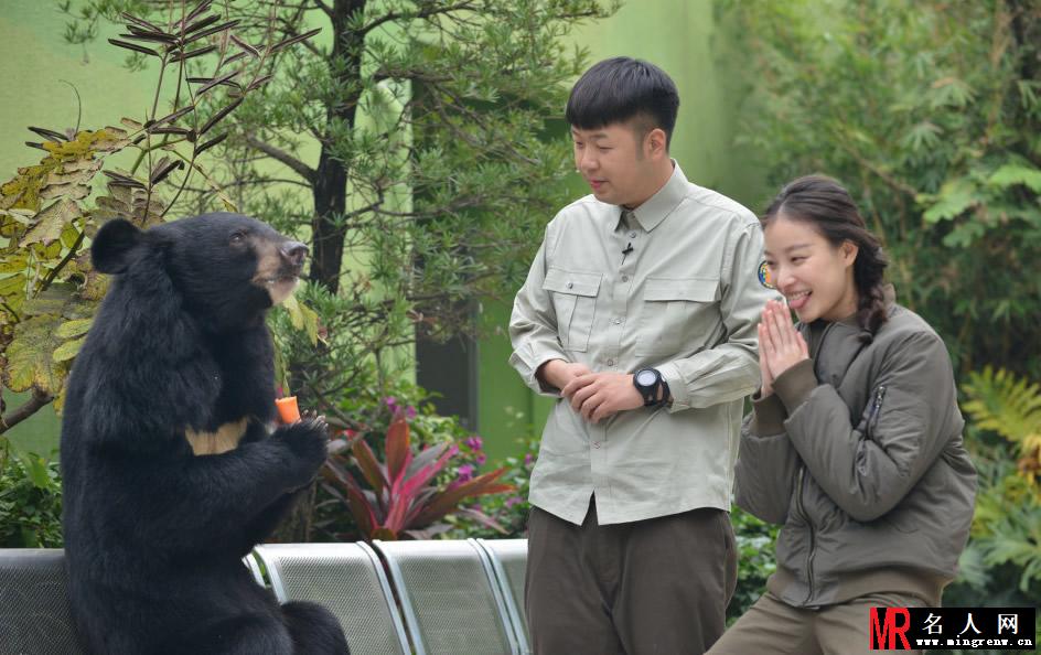 李宇春和熊猫比萌 奇妙的朋友图集(1)