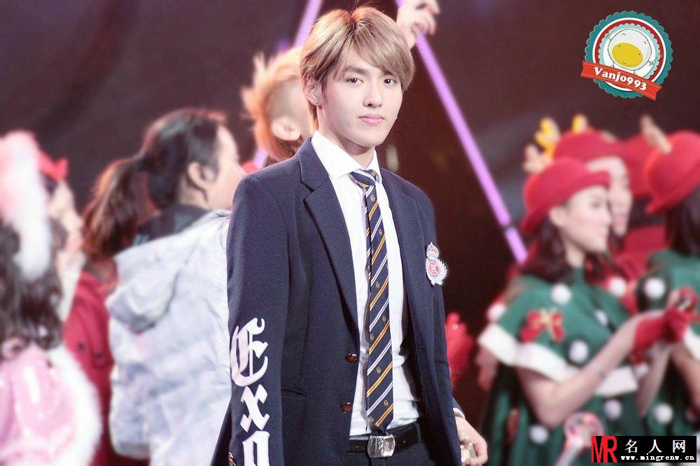 吴亦凡2013年上海演唱会帅气演唱 逆天颜值引众粉丝欢呼(1)