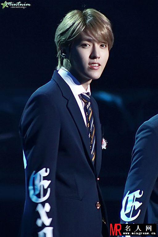 吴亦凡2013年上海演唱会帅气演唱 逆天颜值引众粉丝欢呼(1)