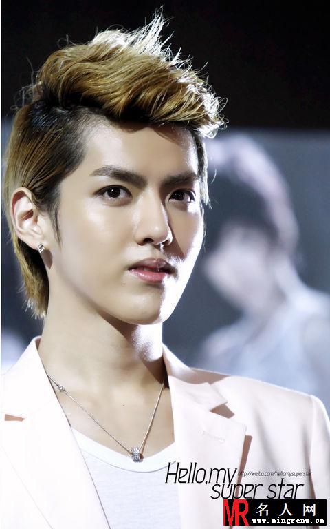 2012年EXO参加SM公司艺术展SM ART EXHIBITION活动吴亦凡图片(1)
