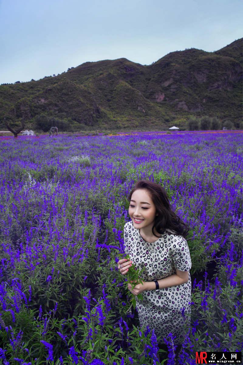 蒋梦婕花样写真 置身熏衣草花海显甜美(1)