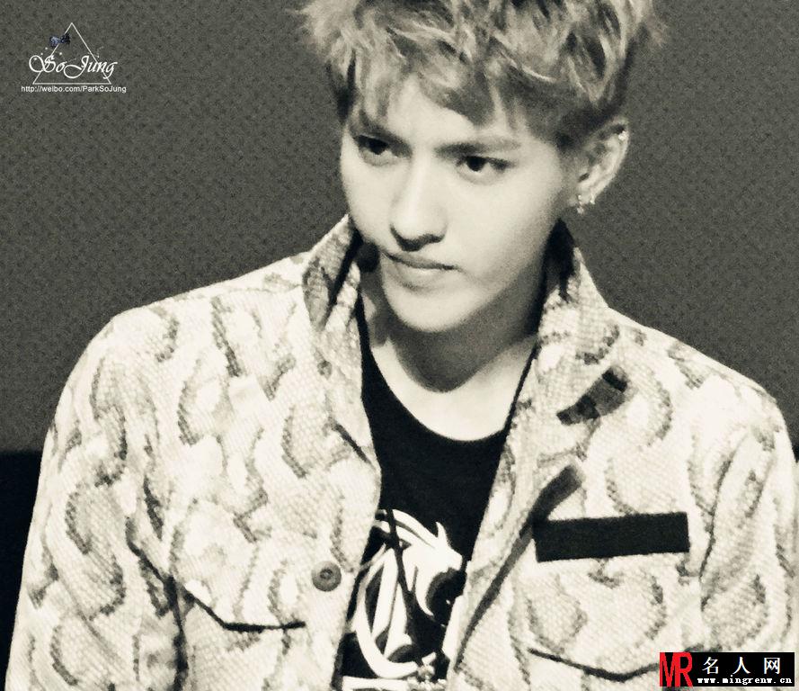2013年韩国首尔EXO亮相RCY庆祝公演 吴亦凡帅气登台(1)
