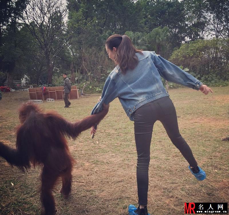 倪妮《奇妙的朋友》精选剧照 聪明的猿猴牵着倪妮散步(1)