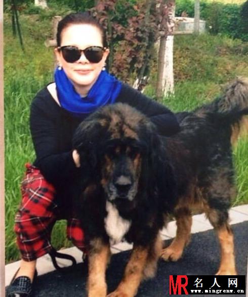 孙俪母亲秀与女儿生活照 海量近照曝光(1)