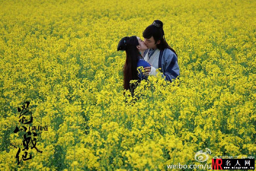 蜀山战纪之剑侠传奇丁隐/丁大力剧照(1)
