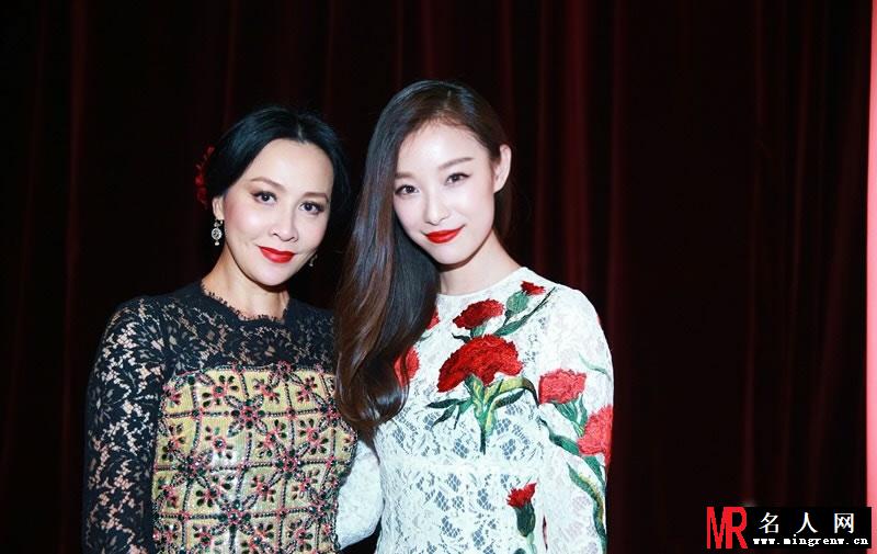倪妮2015活动大图集第一弹 两抹红唇高雅迷人(1)