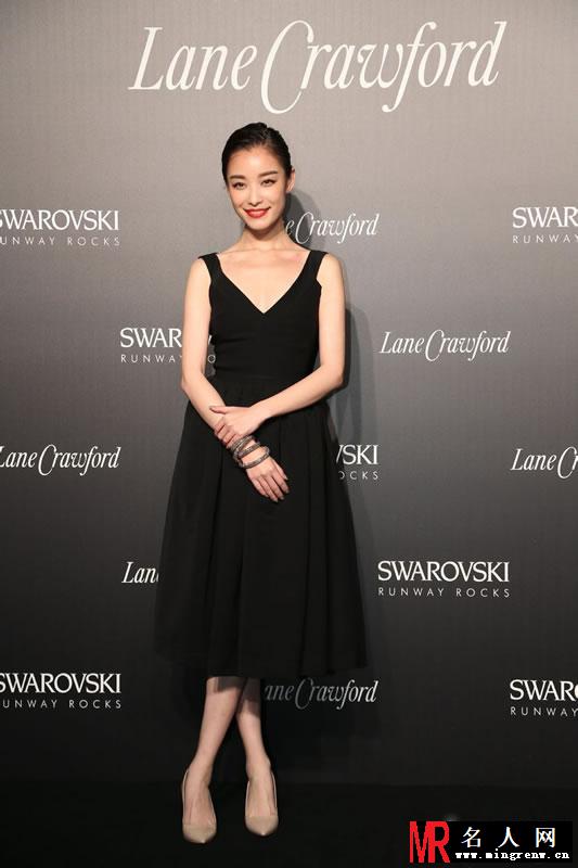 倪妮2013活动大图集第六弹 甜美笑容征服观众(1)