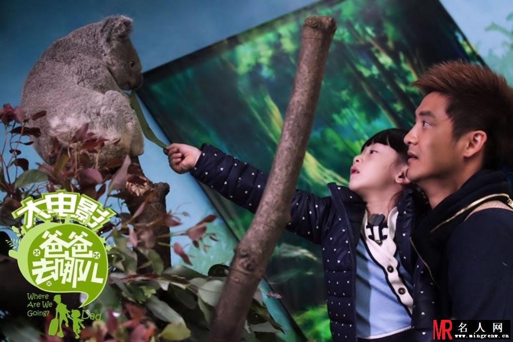 爸爸去哪儿电影版最新剧照 考拉可爱出镜(1)