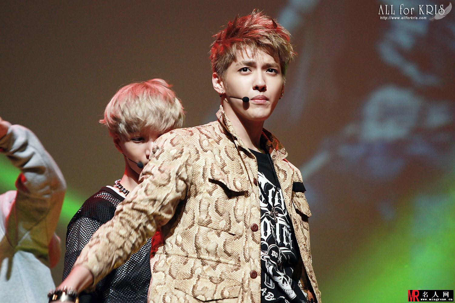 2013年韩国首尔EXO亮相RCY庆祝公演 吴亦凡帅气登台(1)