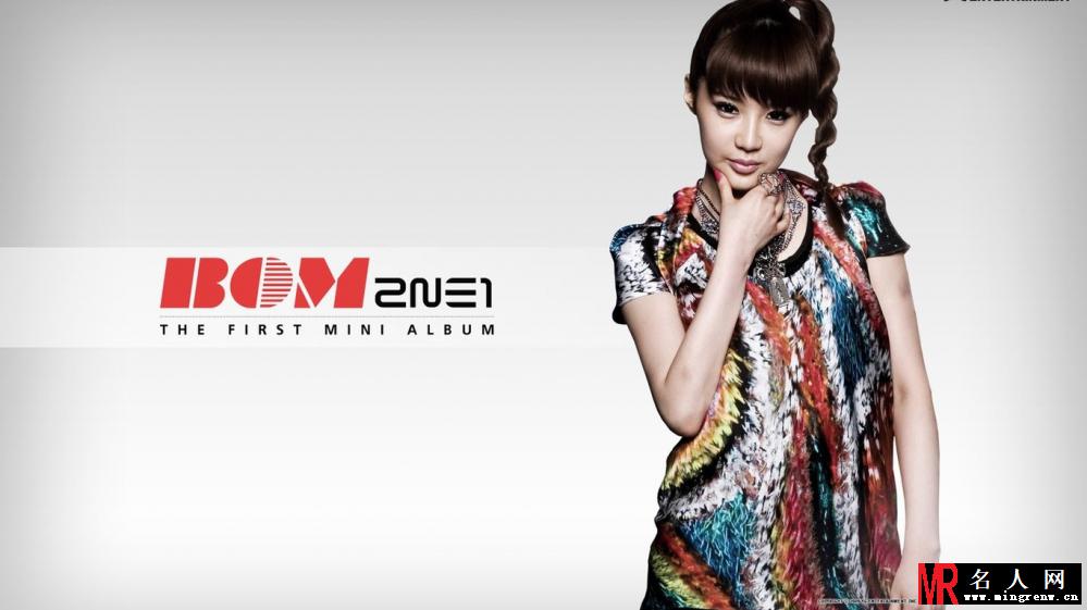 韩女团2NE1高清电脑壁纸(1)