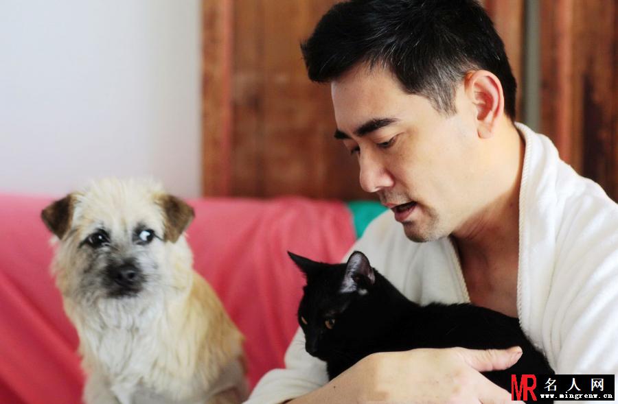 赵文瑄与猫的幸福生活(1)