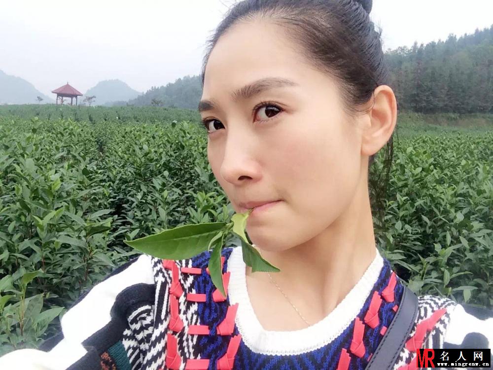陶昕然茶园随拍曝光 文艺小清新气质灵动(1)