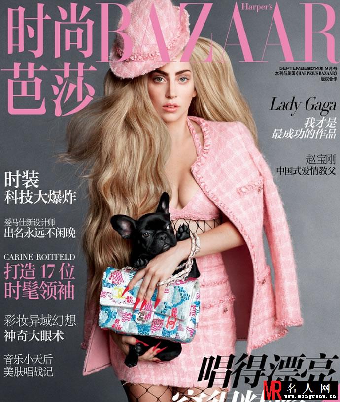 Lady Gaga登杂志封面 性感网袜大秀美腿(1)