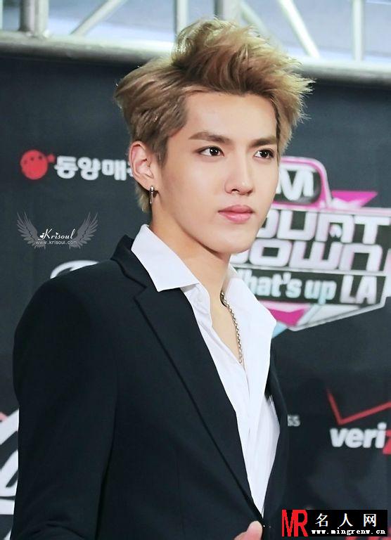 2013年吴亦凡现身美国参加韩国时尚偶像表演(1)