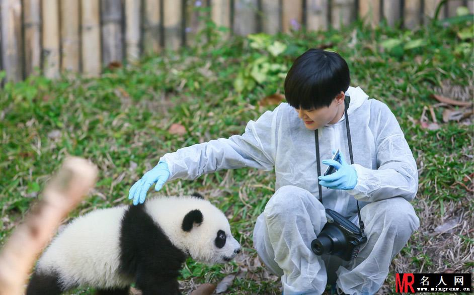 李宇春和熊猫比萌 奇妙的朋友图集(1)