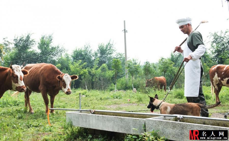 神犬奇兵热播 杨烁变身养牛专家(1)