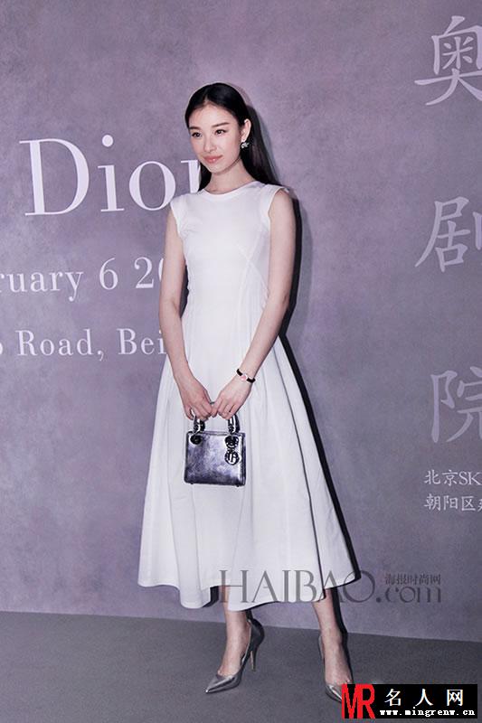 倪妮2015活动大图集第一弹 两抹红唇高雅迷人(1)