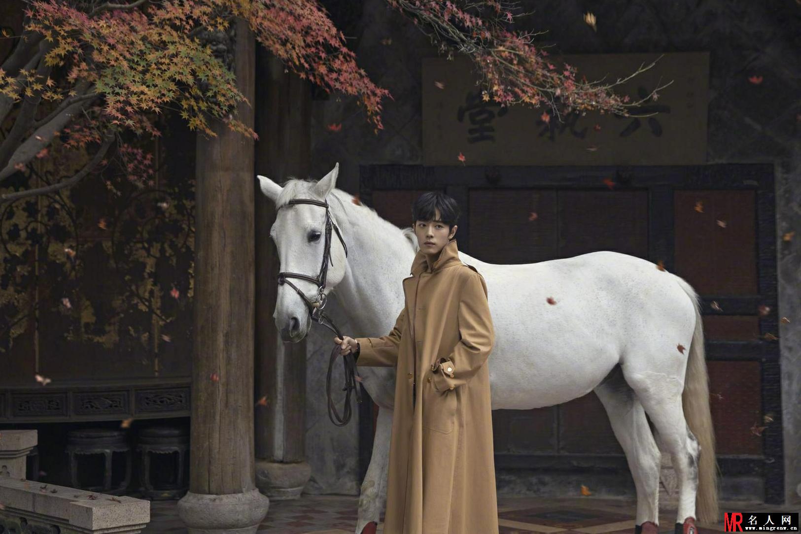 肖战白马骑士造型温润如玉(1)