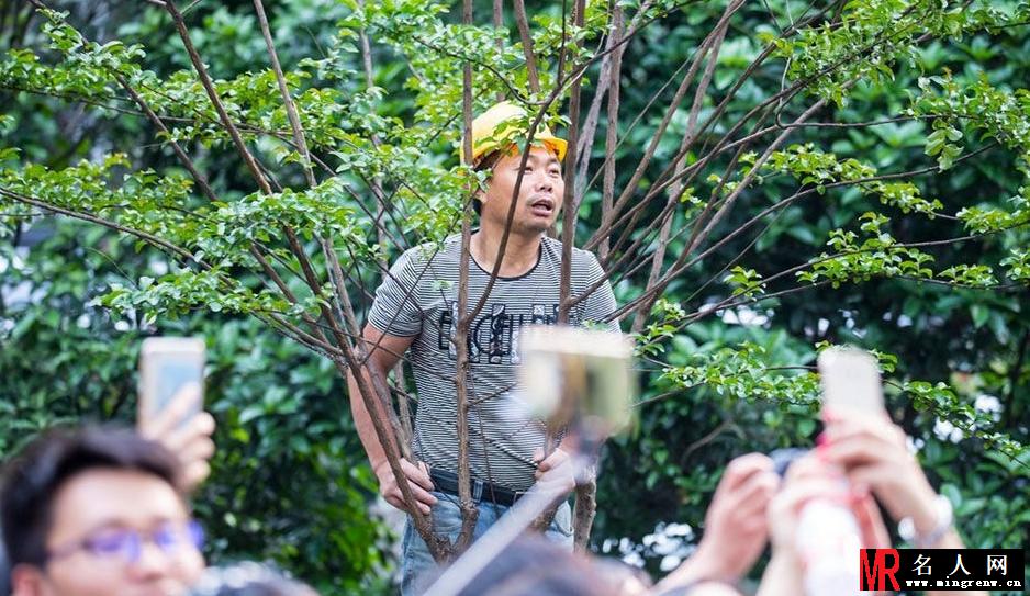 高圆圆现身杭州捞金 多名男子爬树睹芳容(1)