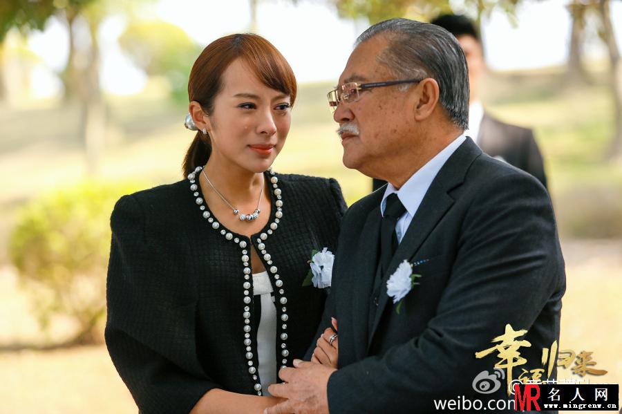 幸福归来丁怀远剧照(1)