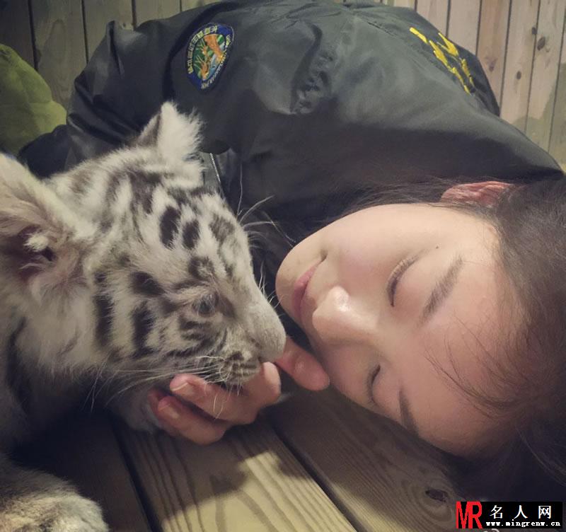 倪妮《奇妙的朋友》精选剧照 聪明的猿猴牵着倪妮散步(1)