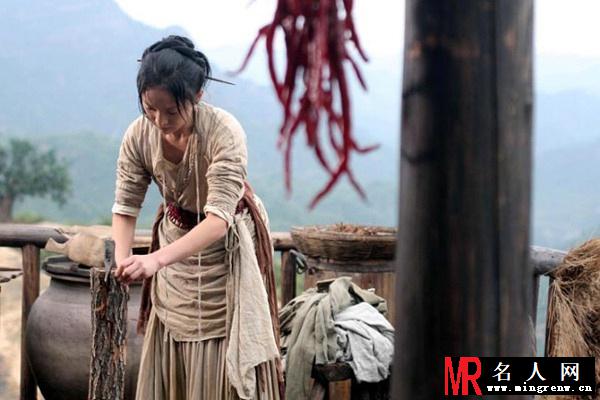 苏乞儿2010年版袁英剧照(1)
