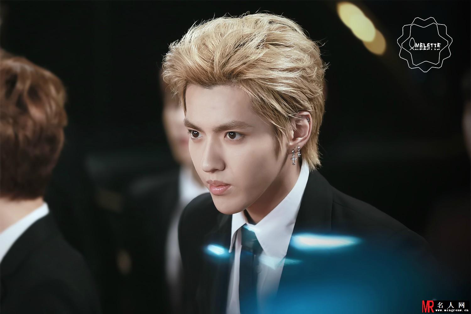 2013melon music awards颁奖典礼吴亦凡率领EXO兄弟帅气亮相(1)