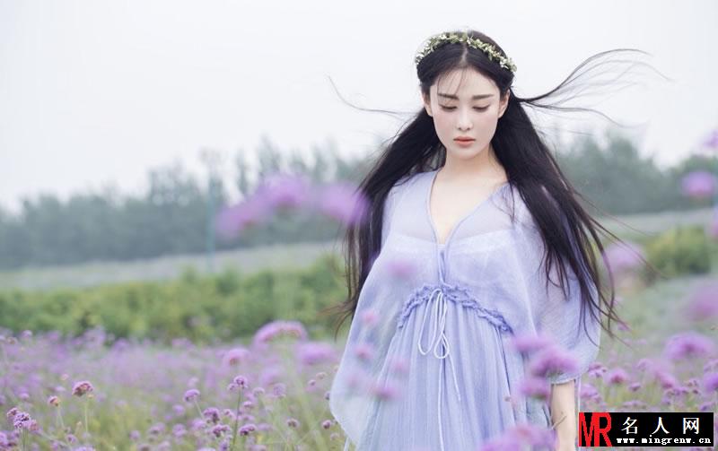 张馨予薰衣草田写真 清新高雅似花仙子(1)