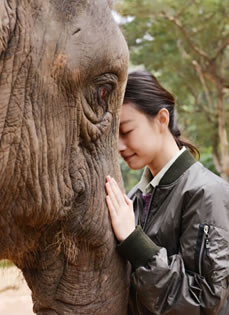 倪妮《奇妙的朋友》精选剧照 温柔的大象和深情的倪妮(28P)