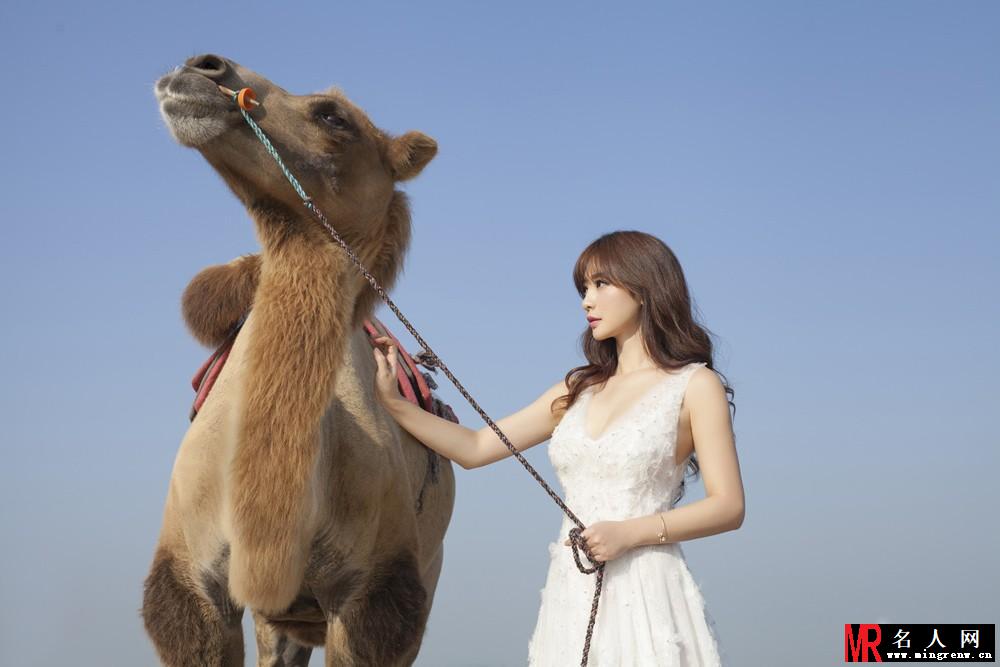 柳岩户外性感写真 沙漠与骆驼(1)
