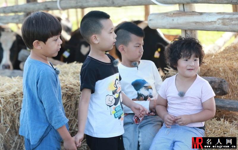 杉菜夏天去哪了？爸爸3萌娃F4酷炫图(1)