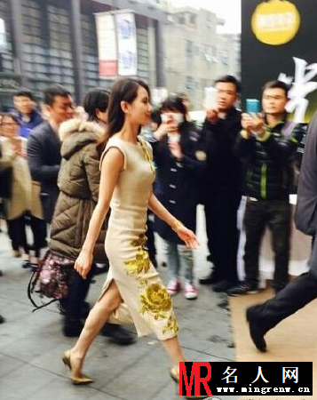 刘诗诗优雅知性旗袍装 红毯性感亮相(1)