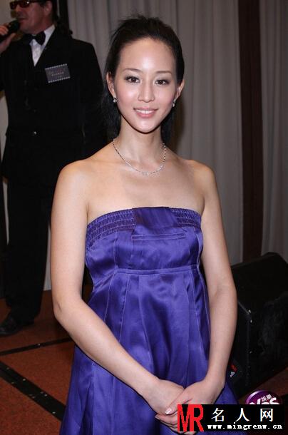 2007年11月第44届金马奖慈善晚会 张钧甯着紫色长裙(1)