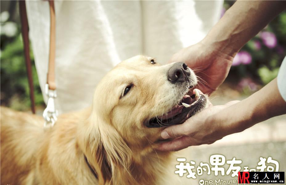 何润东张钧甯电影《我的男友和狗》幸福温暖海报曝光(1)